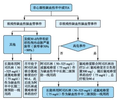 中國腦血管病臨床管理指南節(jié)選解讀 缺血性腦血管病的突破點(diǎn)在哪里？
